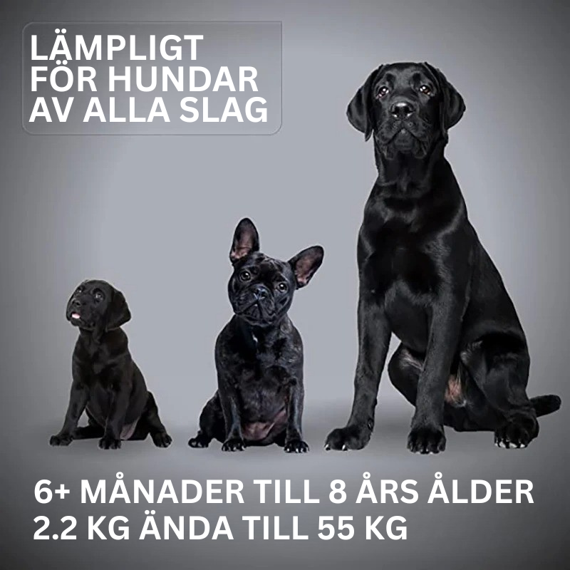 ANTISKÄLL-DOSA