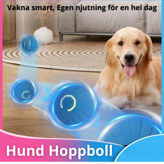 AUTOMATISK STUDSANDE BOLL